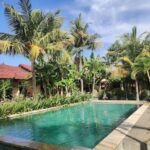 The 1000 dream bungalow is located in the northern shores of Bali.We can arrange the transportation to get you here or you can arrange by yourself from Airport to our hotel.