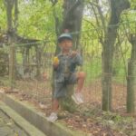 Star fruit plantation open to the public offering fruits for purchase in scenic surrounds.