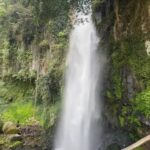 A short hiking trail leads to this powerful cascade set among dense forest home to birds & gibbons.