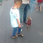 Popular park with colorful sculptures