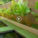 an outdoor pool & a gym.