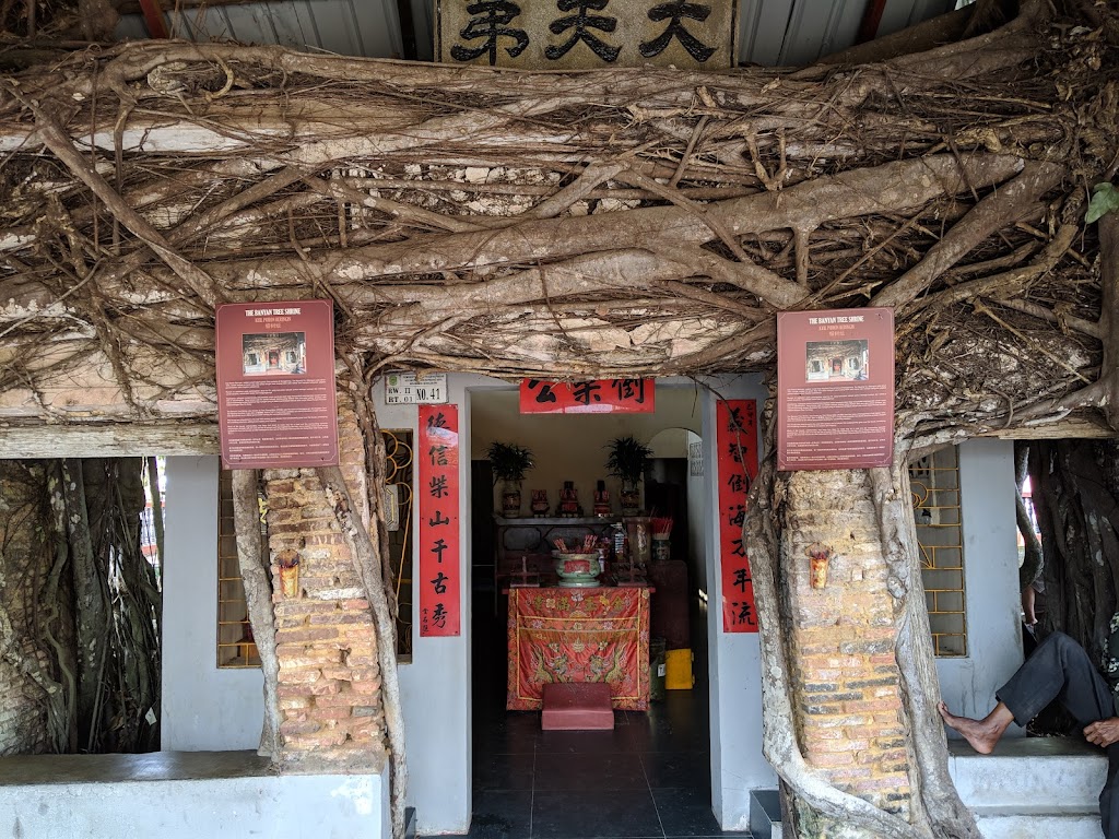 Banyan Tree Temple