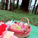 Wana Wisata Baturraden merupakan hutan lindung dan tempat rekreasi yang ideal sebagai sarana pendidikan dan pengembangan ilmu pengetahuan juga dapat menimbulkan rasa cinta kepada alam. HTM 20k Weekday