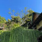 Bella Vista Premium Homestay