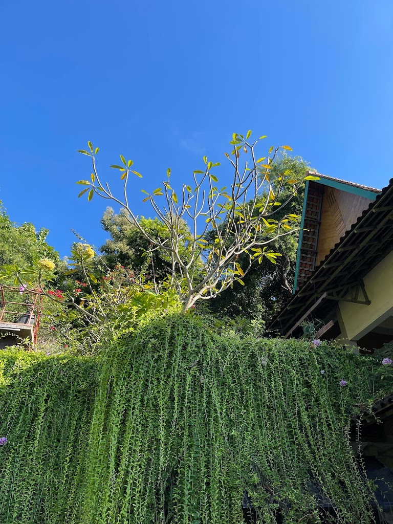 Bella Vista Premium Homestay