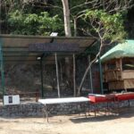 Bree's Beach Place