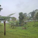 Wisata Alam dengan fasilitas :