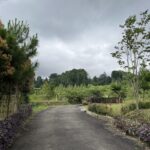 Bukit Tengtung Baturraden