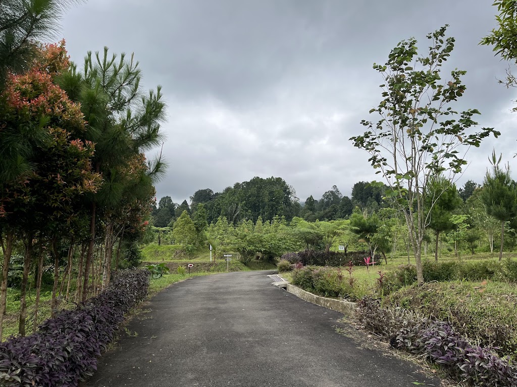 Bukit Tengtung Baturraden