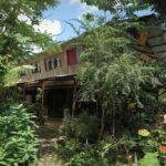 Cafe Sabang Guest House