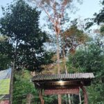 Kerajaan Kahuripan adalah kerajaan yang didirikan oleh Airlangga pada tahun 1009 masehi. Kerajaan Kahuripan merupakan lanjutan dari Kerjaaan Medang yang telah runtuh pada tahun 1006 masehi.