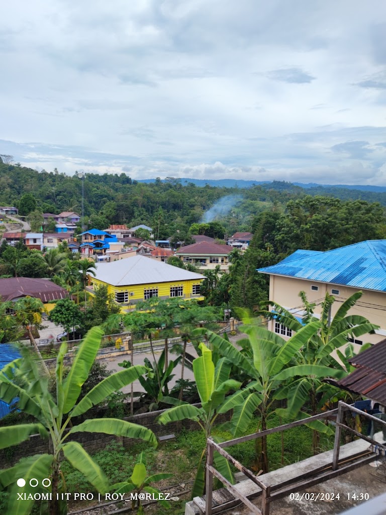 Cotton Fields Home Stay