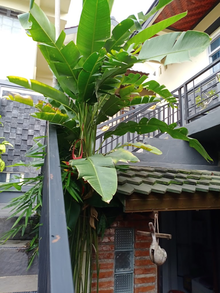 Crown Guest House