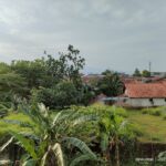 Daile Homestay
