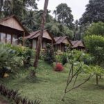 D'lagoon Dive Resort Lembeh