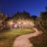 You can experience the joy and the liberty in fabulous nature within the campsite even if you do not own a caravan or a tent - and still with maximum comfort! Welcome to our SPA room