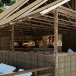 Friwen Mangrove Eco Lodge