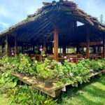 Gardenia Country Inn