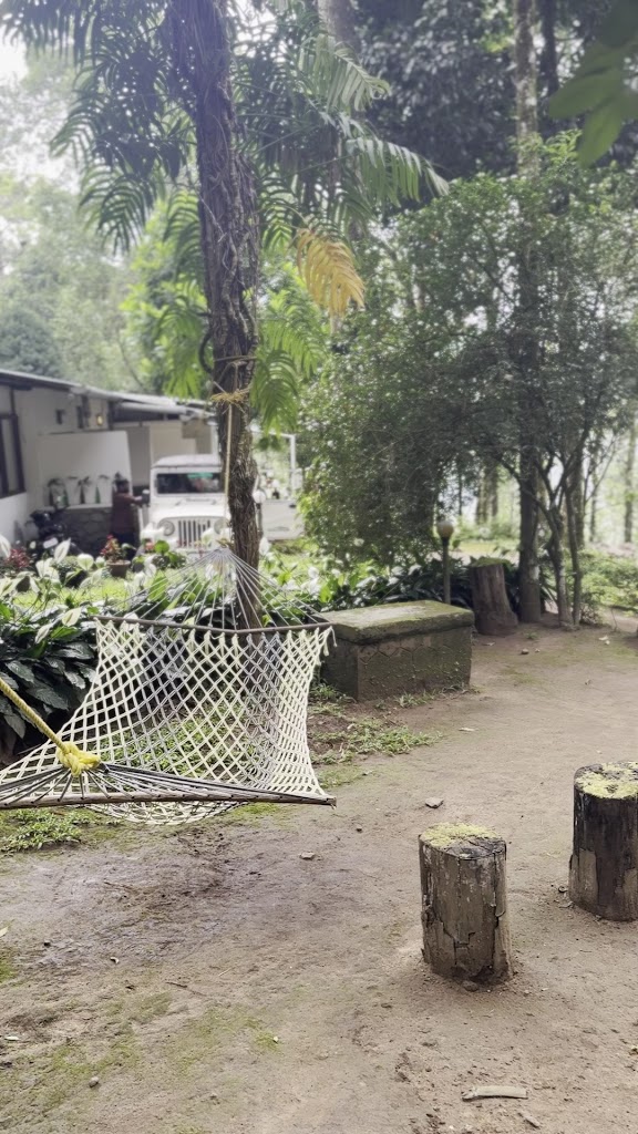 plus yoga & Ayurveda treatments.