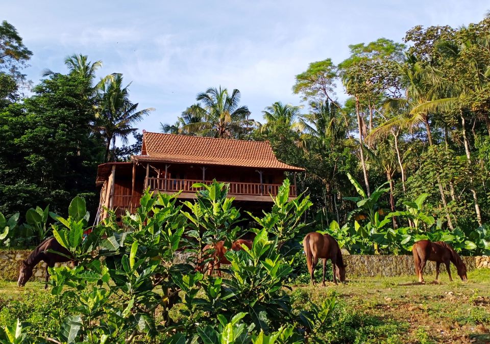 Havana Horses Lodge