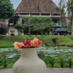 plus an infinity pool