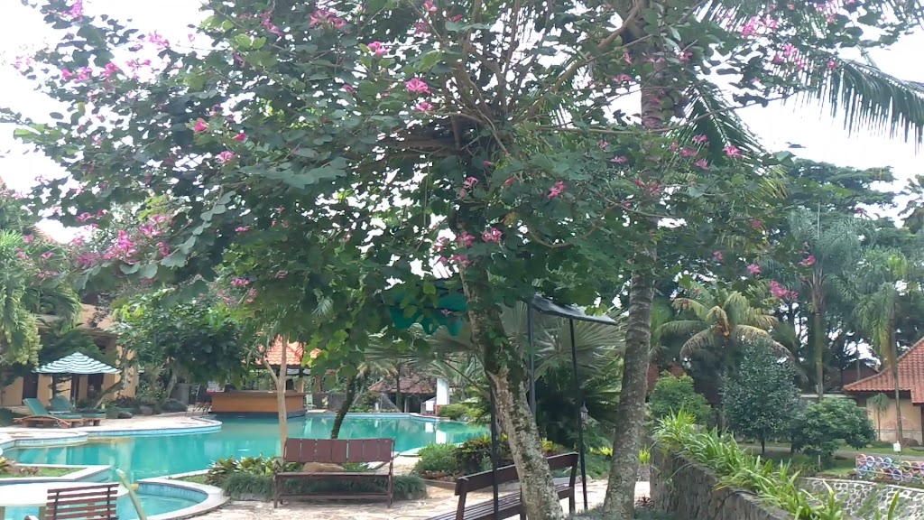 suites & bungalows in a relaxed resort with 2 restaurants