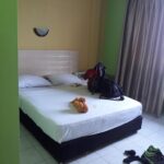 Simple rooms in a relaxed budget hotel with terrace dining