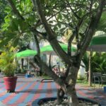 plus a gym & a pool.