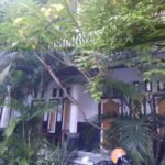 Hotel Samawa Rea