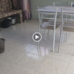 Camp and Vila dengan 2 pemandangan indah gunung lokon dan Kota Tomohon dari tempat tinggi.