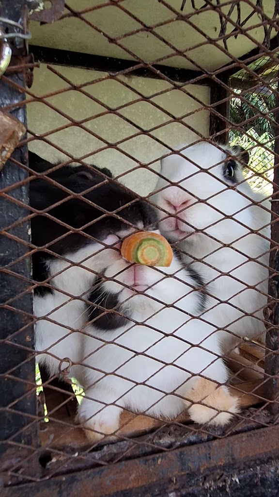 Refined resort offering relaxed rooms & suites with lake views