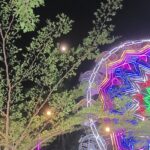 Busy garden with fountains & displays lit up at night