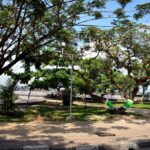 Mahakam Riverside Park