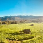 local owned villa with breathtaking rice field view in the north part of Bali