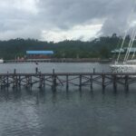 an outdoor pool & scuba diving tours.