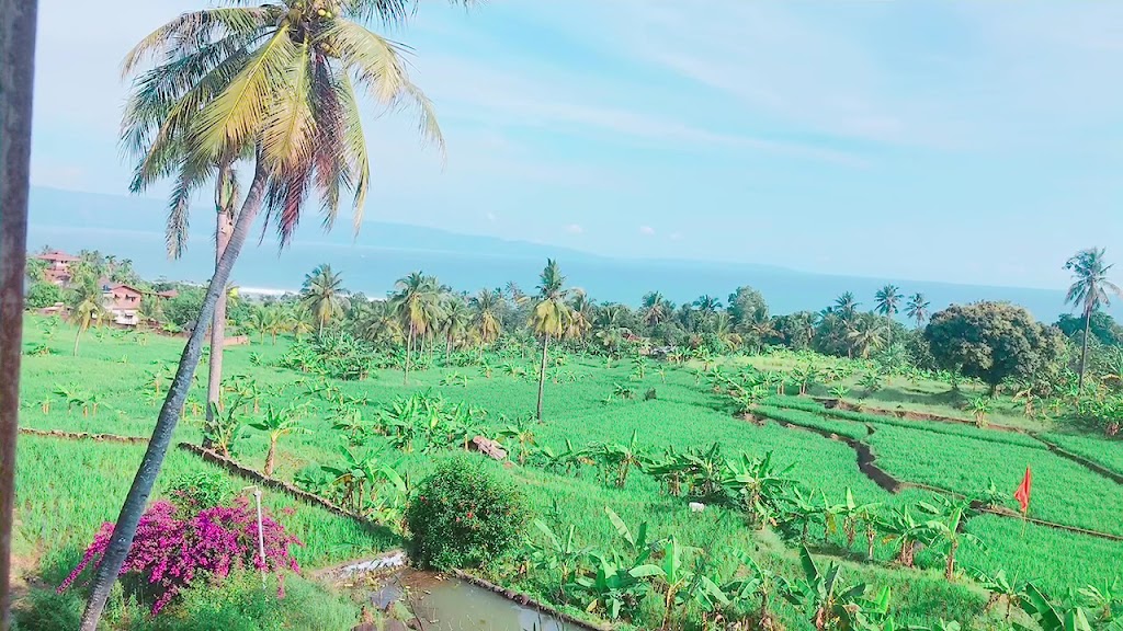 plus free breakfast.