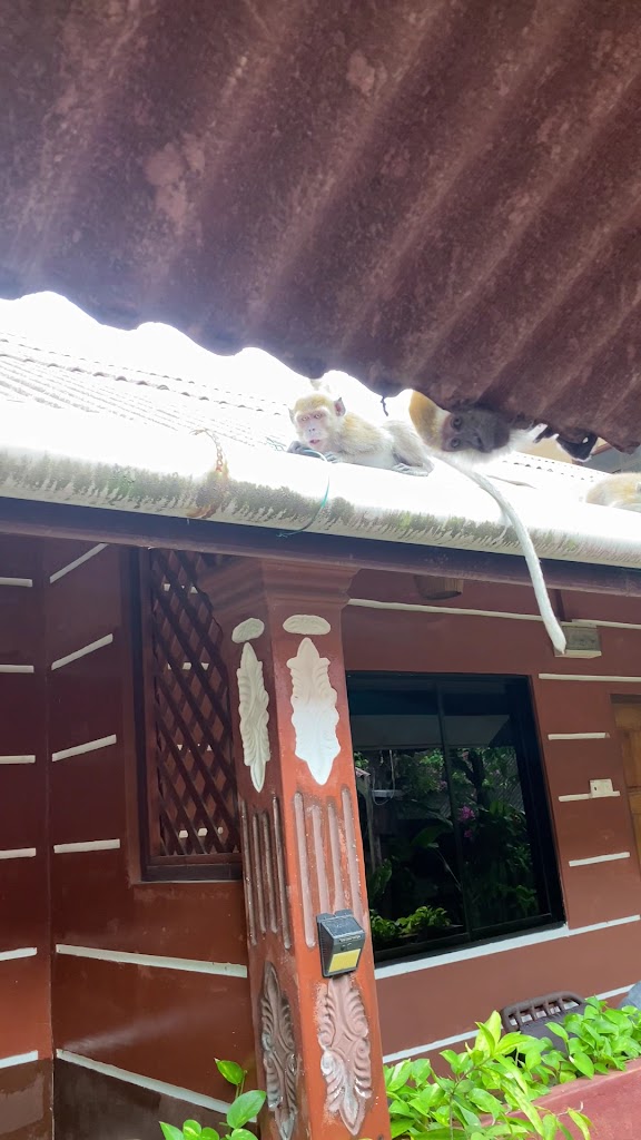 simple furnished rooms with balconies in a relaxed hotel offering BBQ facilities.