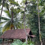 various tourist attraction and restaurants. Here you can enjoy serenity of nature and peace of mind.