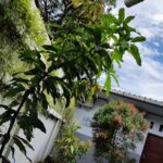 Omah Tentrem Syariah Rooms