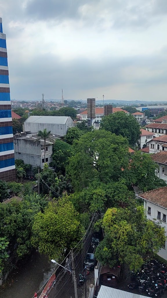 some with pull-out sofas