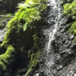 Mountainside hot spring with sulfur pools