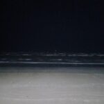 Indonesia-based Coffeehouse chain known for its ingredients produced from locally grown Coffee Beans.