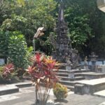 Pura Tirta Sudhamala