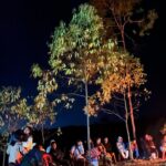 BURUNG² SERTA BINATANG LAINNYA