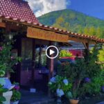 berada di kawasan wisata alam Ijen Geopark Jawa timur