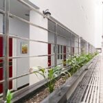 RedDoorz Hostel @ FInest Medan