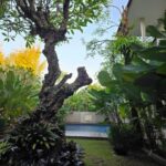 Streamlined rooms featuring a/c in a no-nonsense budget hotel with Wi-Fi & parking.