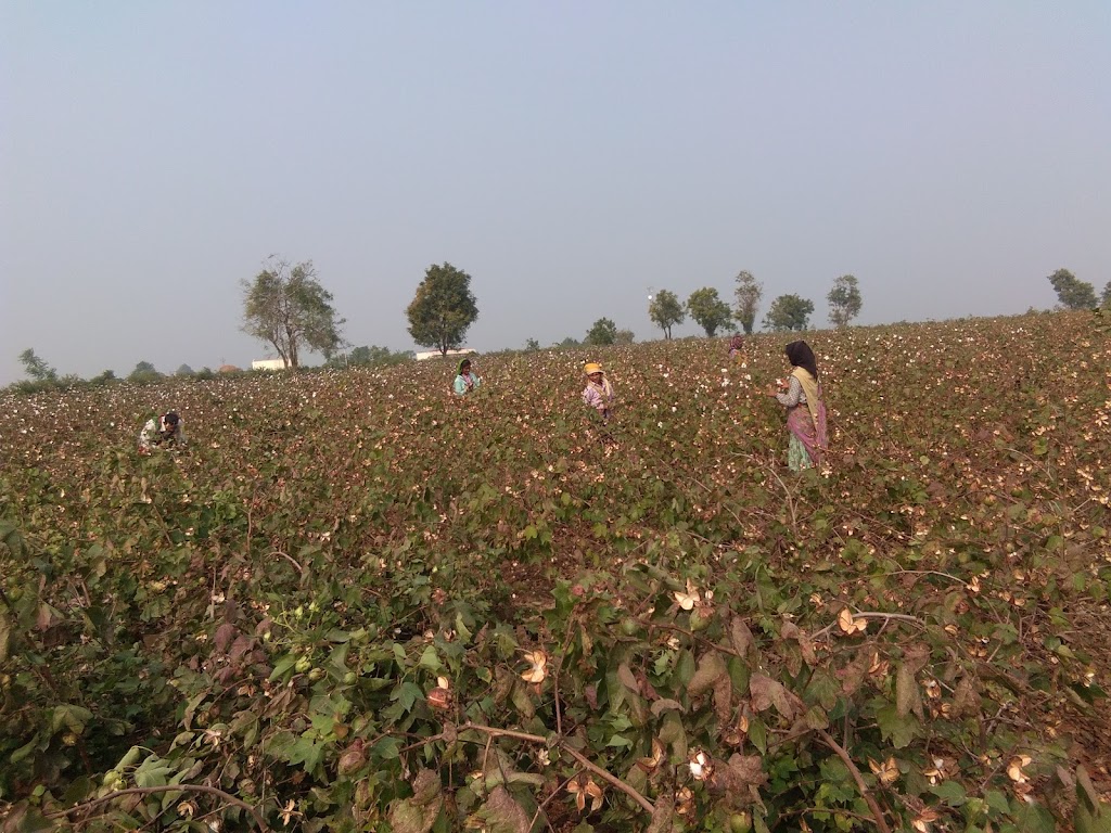 SHREE SWAMINARAYAN MAIN TEMPLE RANSIKI