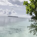 The Travelers’ Nest