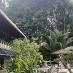 Low-key dorms & rooms in a casual rainforest lodging offering breakfast & an outdoor pool.